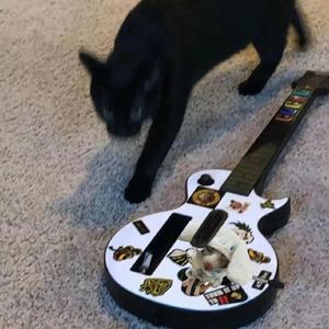 张雨欣全球裸体视频
