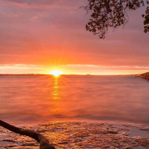 张雨欣全球裸体视频
